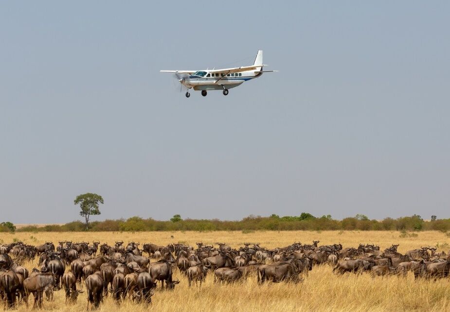 Tour and Safari Packages