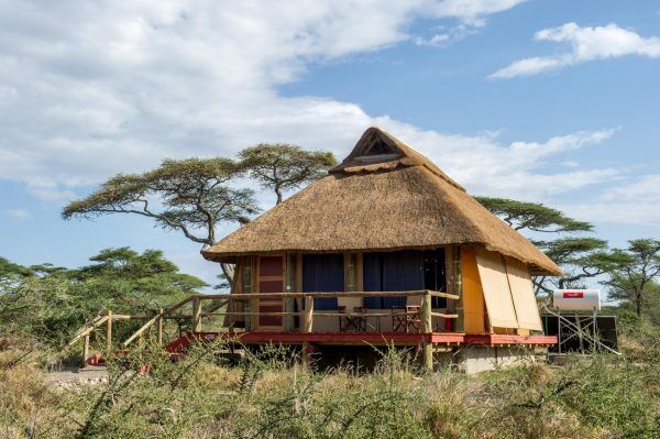 2 Day Complete Guide Best Safari Diani Beach Kenya