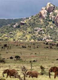 Shimba Hills from Diani
