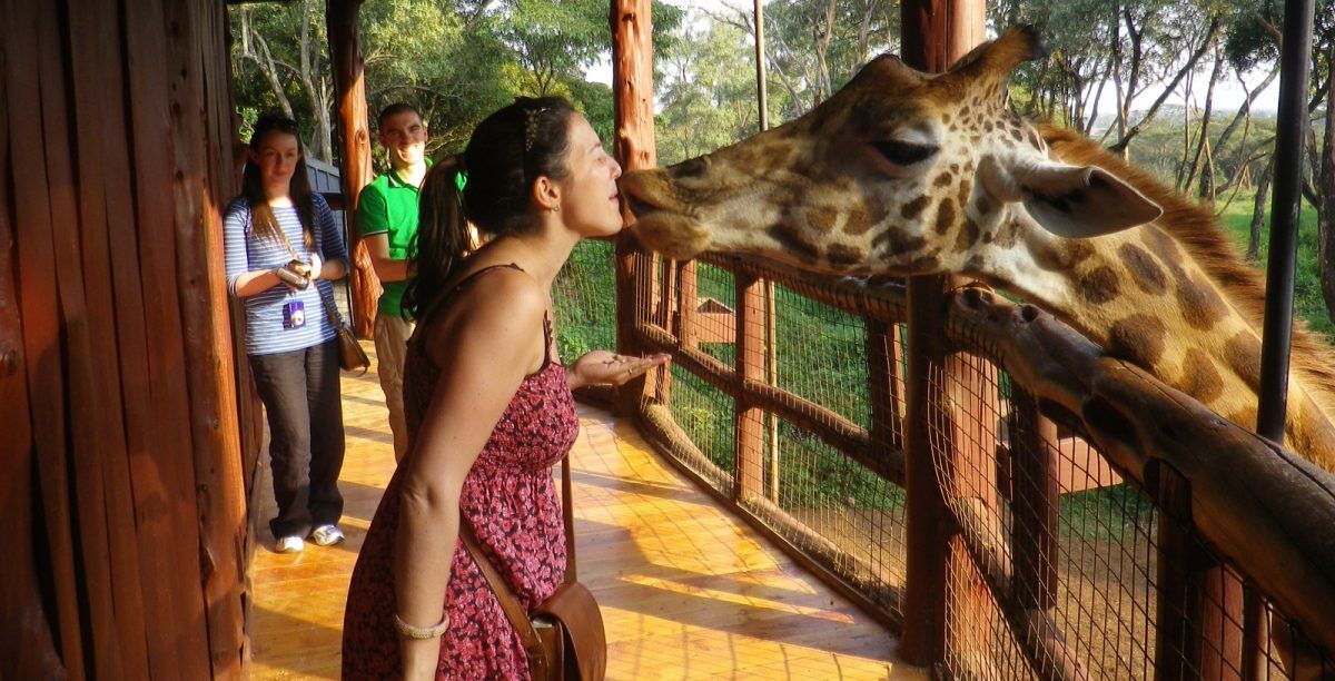 Giraffe centre Nairobi