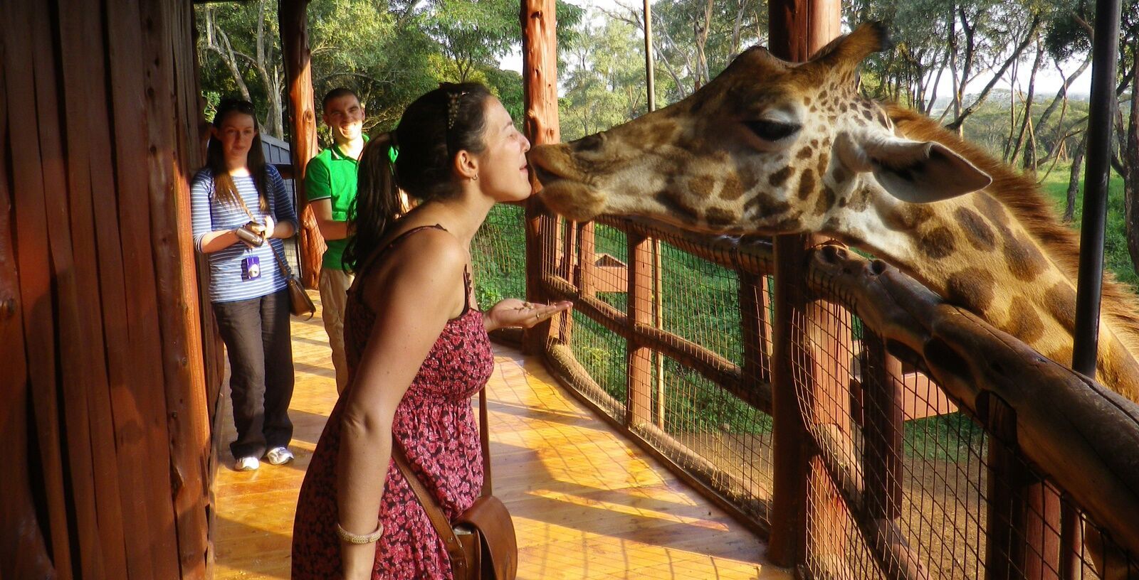 Giraffe centre Nairobi