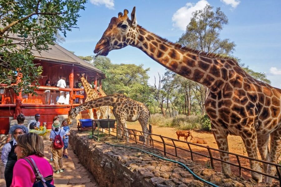 nairobi safaris