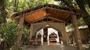 fig tree camp