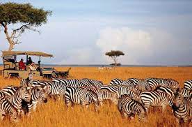 7 days fly - into sweetwater and mara