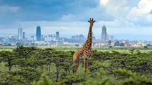 explore the nairobi to mombasa safari in kenya