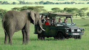 best safari kenya