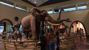 national museum of nairobi