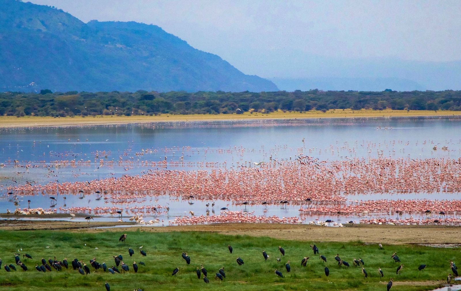 6 Day Kenya Safari from Nairobi