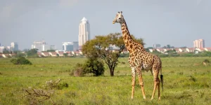 Nairobi Kenya