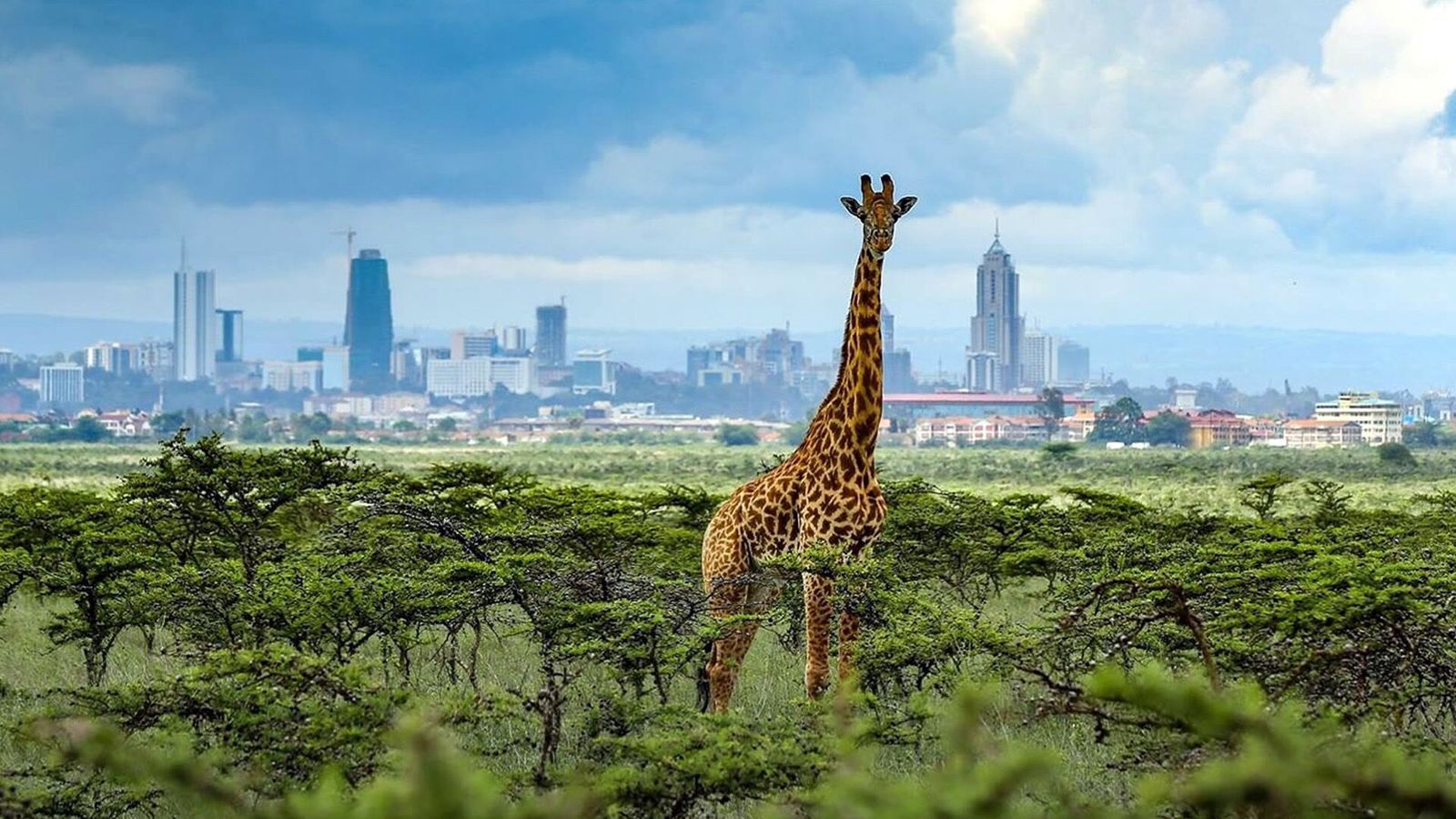 nairobi safaris
