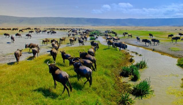 TSAVO NATIONAL PARK