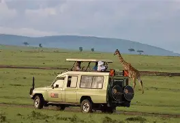 Safari Companies in Kenya