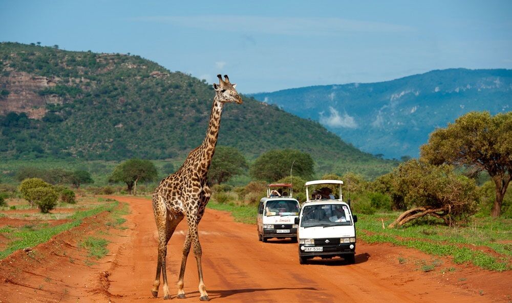 Tsavo Safari from Mombasa
