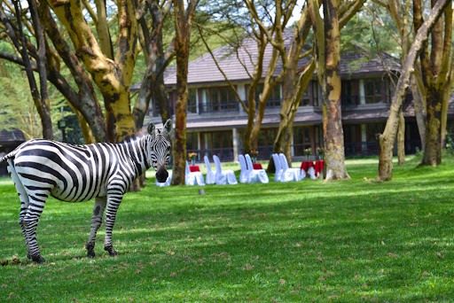 Naivasha Simba Lodge