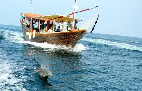 diani tour and safaris