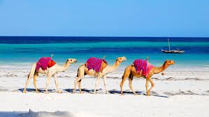 diani beach hotels mombasa kenya