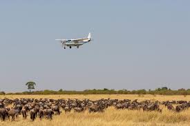 tsavo east safari