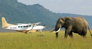 Africa Safari in Kenya