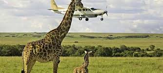 Nairobi Trips