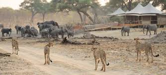 3 Days Masai Mara Safari from Nairobi