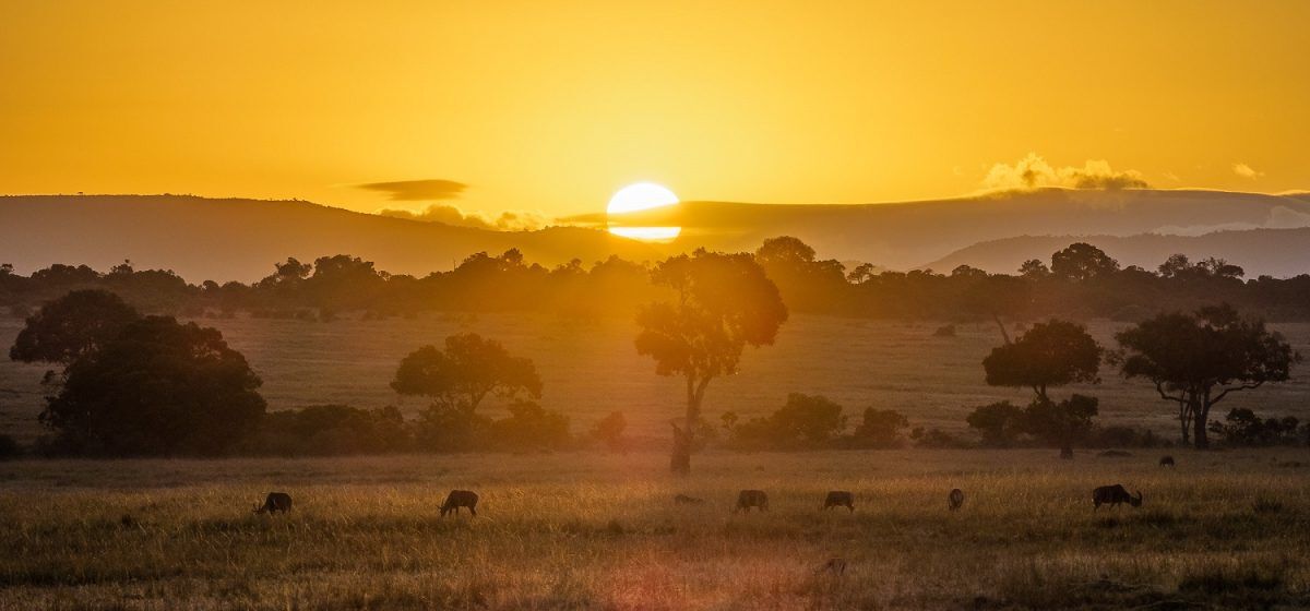Maasai Mara Safaris