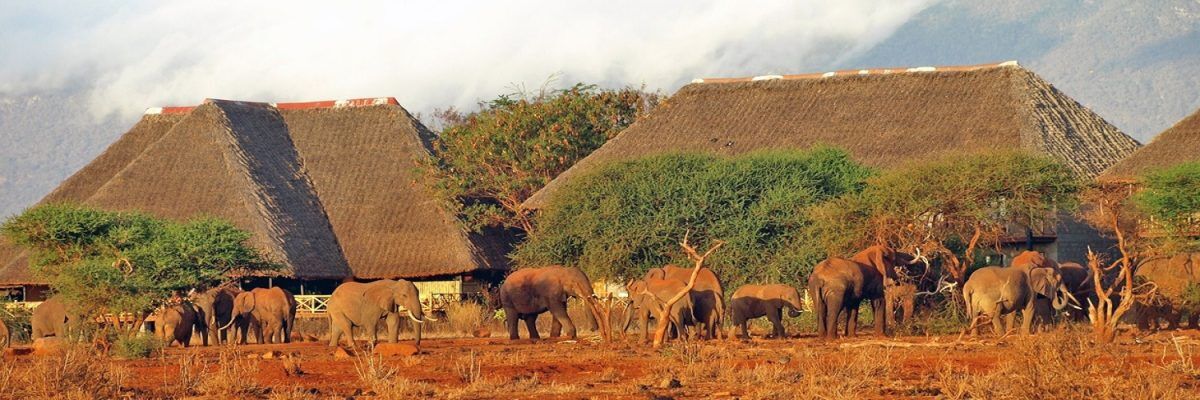 Lodges and Camps