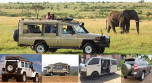 Tanzania Safari Lodge