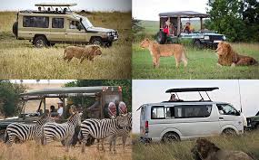 Mombasa Tour Companies