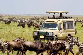 Kenya Holiday Safaris