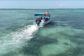 baobab beach resort diani beach