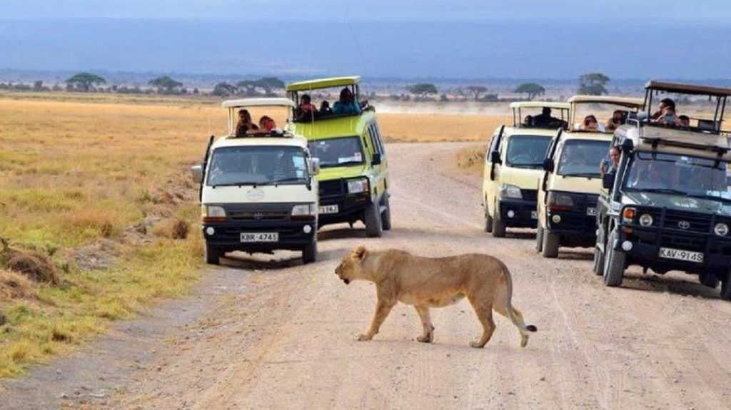 Tours and Safaris in Kenya