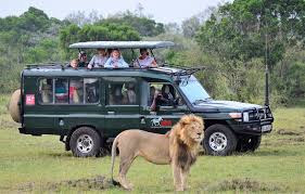 Africa Safari in Kenya