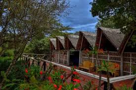 Lodges and Camps