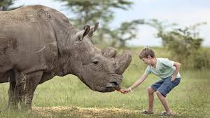 Safari Booking in Kenya