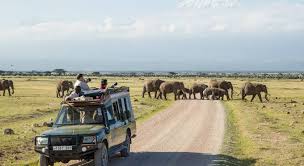 Tsavo East and Tsavo West Safari Price