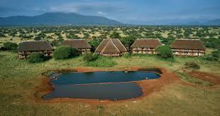 Ngutuni lodge