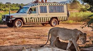 mombasa safari and beach holiday