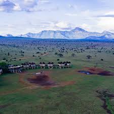 Safari of Kenya