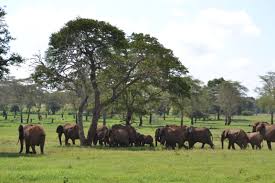 Taita Hills Wildlife Sanctuary