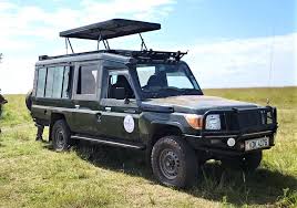 Safari Companies in Kenya