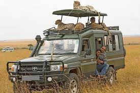 Kenya and Safari