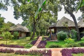 Mara Chui Camp