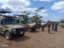 Best Tour Companies in Diani