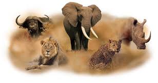 Mombasa to Tsavo East Safari Package