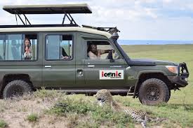 Masai Mara Group Tour