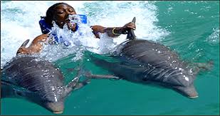 Watamu to Tsavo East Safari