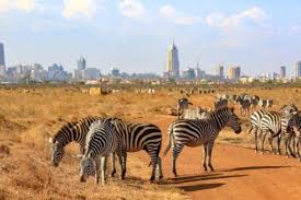 safari from nairobi to mombasa