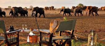 Kenya safari packages – Masai Mara Big Five.
