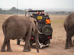 Safari of Kenya