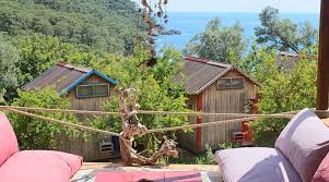 Safari Camp in Kenya